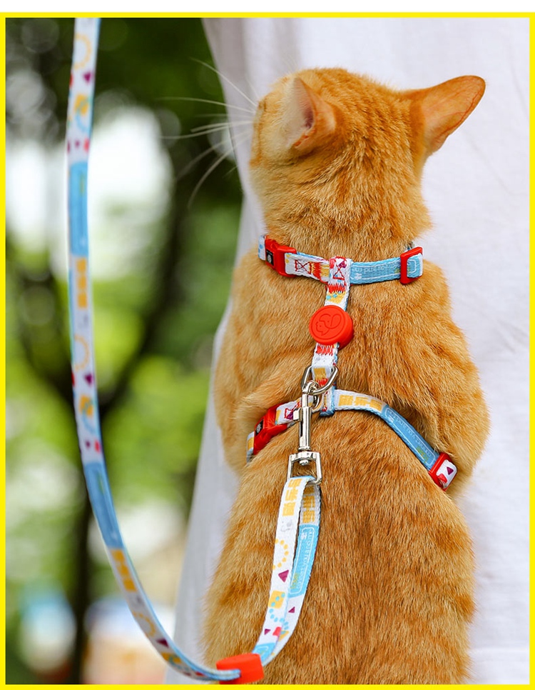 cat harness.jpg